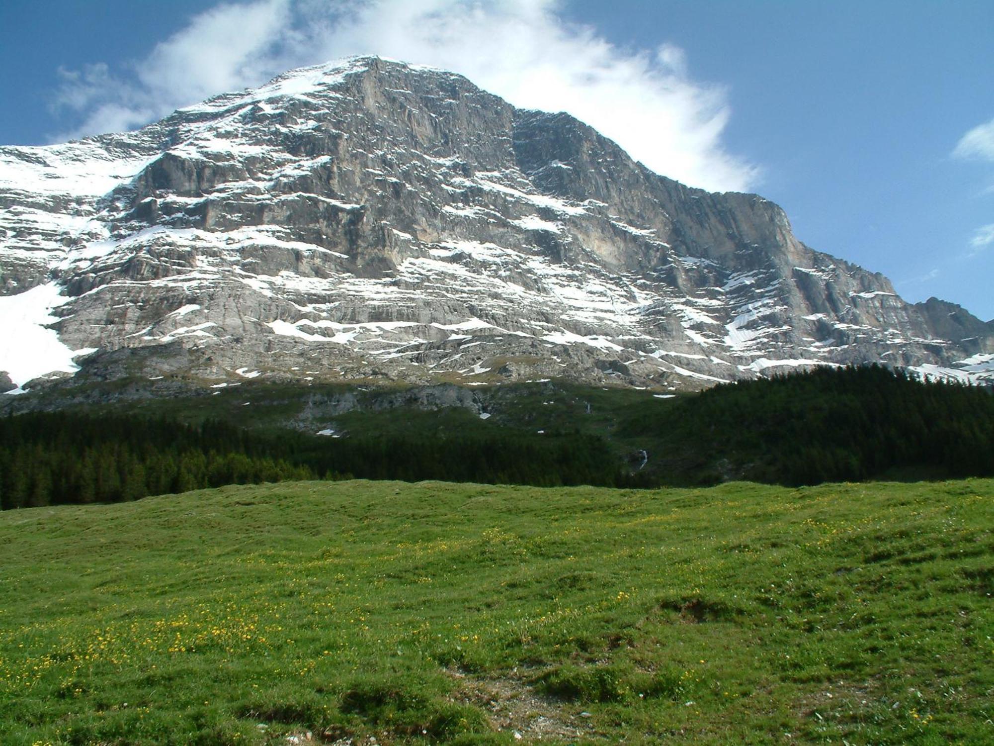 Chalet Schwendiboden Grindelwald Luaran gambar